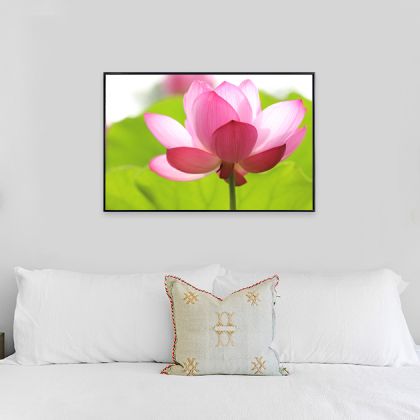 Wall Art Floral