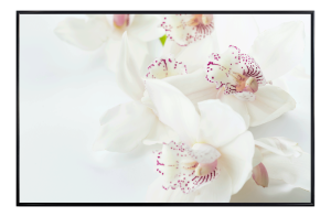 Картина 59*39 см, бели орхидеи